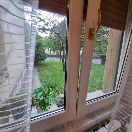 Alloggio Silva Gorizia Dış mekan fotoğraf