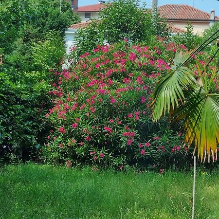 Alloggio Silva Gorizia Dış mekan fotoğraf
