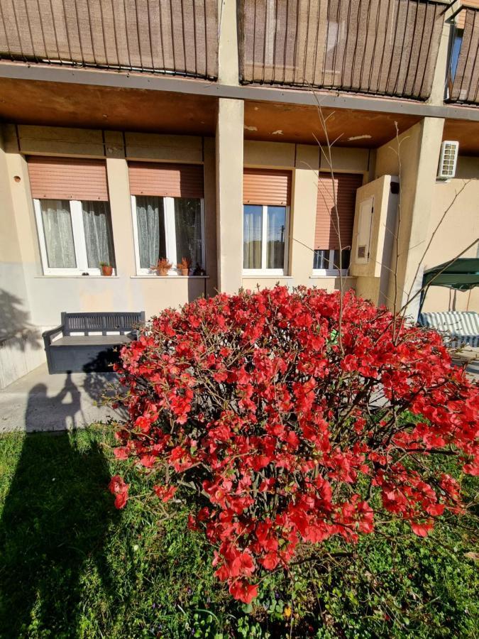 Alloggio Silva Gorizia Dış mekan fotoğraf