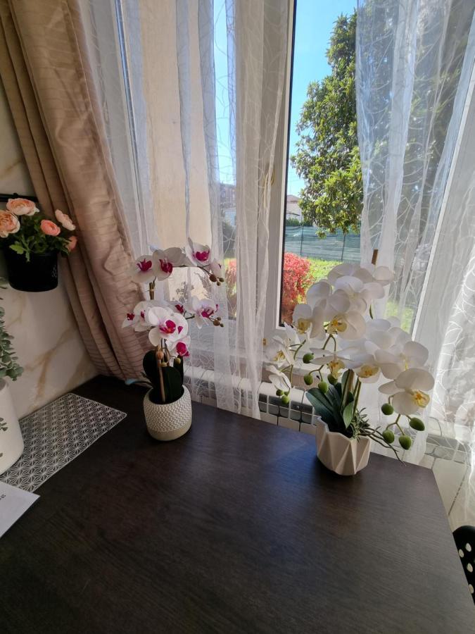 Alloggio Silva Gorizia Dış mekan fotoğraf