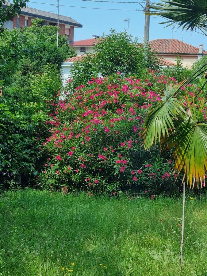 Alloggio Silva Gorizia Dış mekan fotoğraf