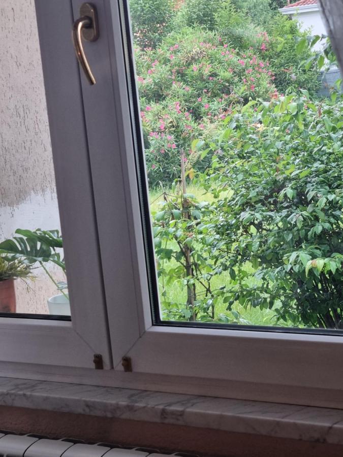 Alloggio Silva Gorizia Dış mekan fotoğraf